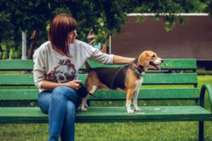 how to make money without working a real job with pet sitting