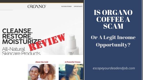 is organo coffee a scam