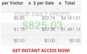 profit injector income statement