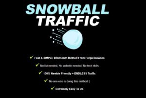 snowball traffic claims