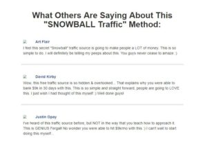 snowball traffic testimonials